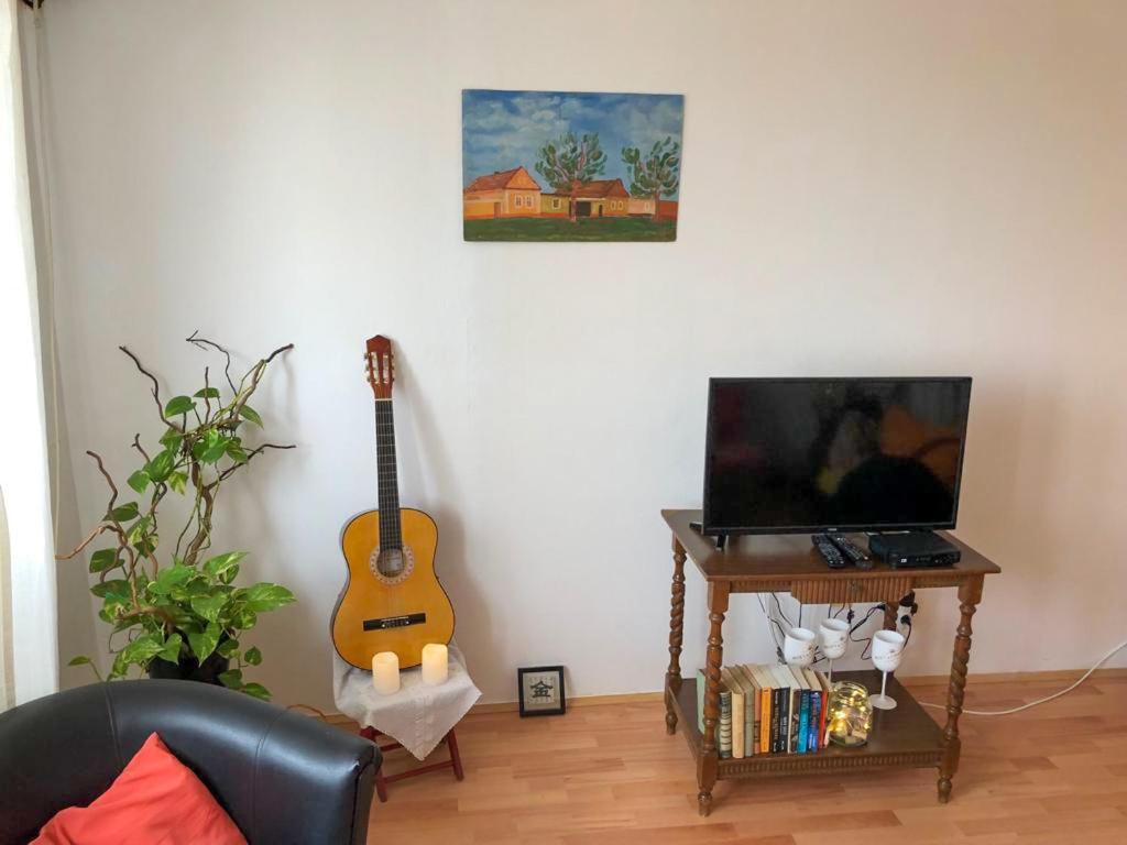 Sunshine Apartment Pancevo Bagian luar foto